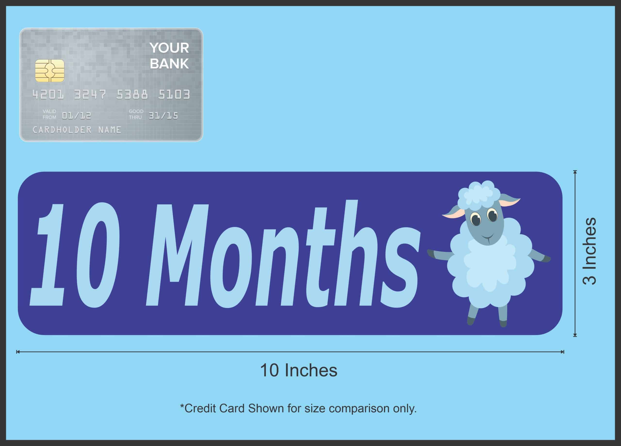 10in x 3in 10 Month Sticker Baby Boy First Year Vinyl Window Decal Stickers - Image 5
