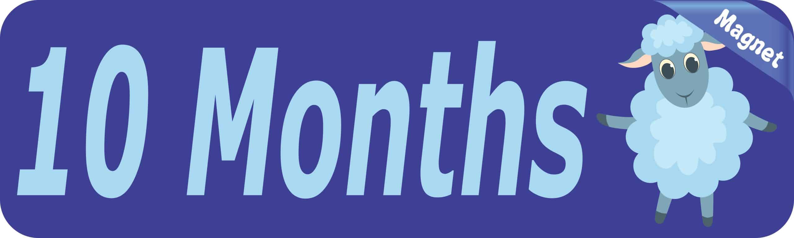 10in x 3in 10 Month Magnet Boy Door Magnetic Sign Magnets Signs - Image 2