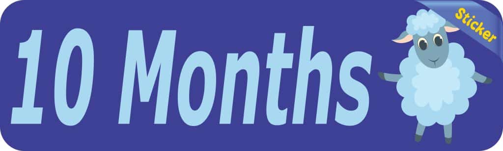 10th Month Sticker 10in x 3in 10 Month Sticker Baby Boy First Year Vinyl Window Decal ...