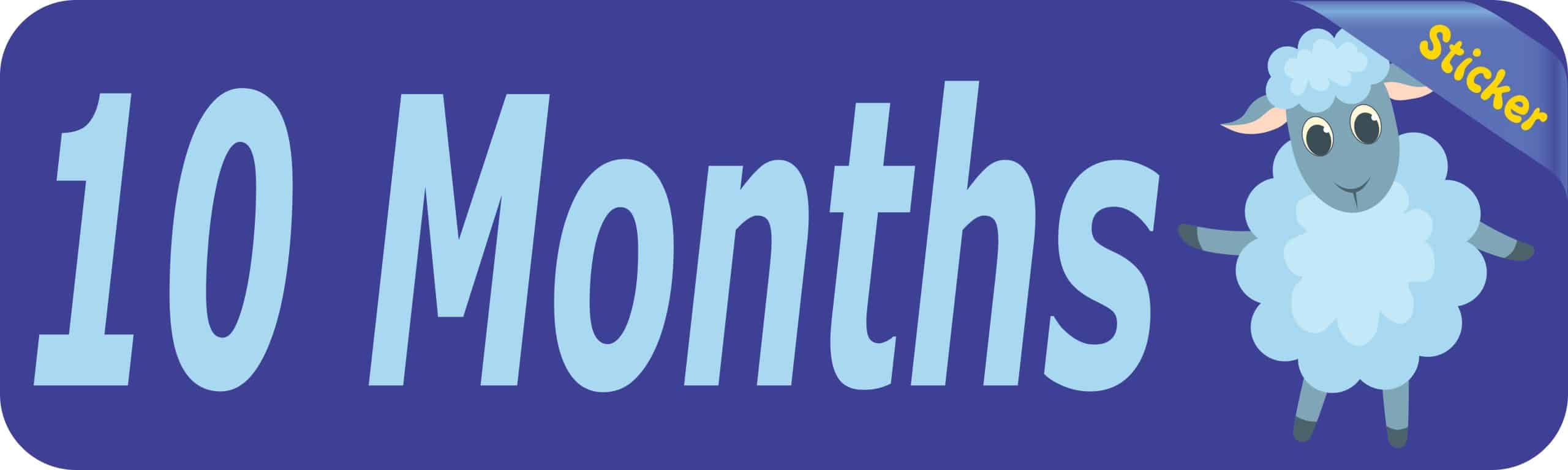 10in x 3in 10 Month Sticker Baby Boy First Year Vinyl Window Decal Stickers - Image 2