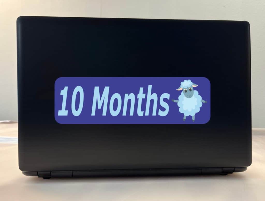 10th Month Sticker 10in x 3in 10 Month Sticker Baby Boy First Year Vinyl Window Decal ...