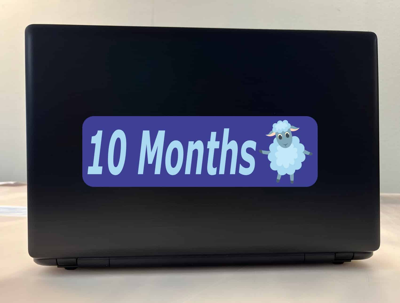 10in x 3in 10 Month Sticker Baby Boy First Year Vinyl Window Decal Stickers - Image 3