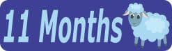 10in x 3in 11 Month Sticker Baby Boy First Year Vinyl Window Decal Stickers