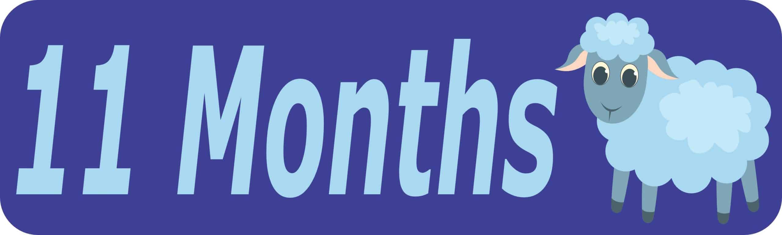 10in x 3in 11 Month Sticker Baby Boy First Year Vinyl Window Decal Stickers