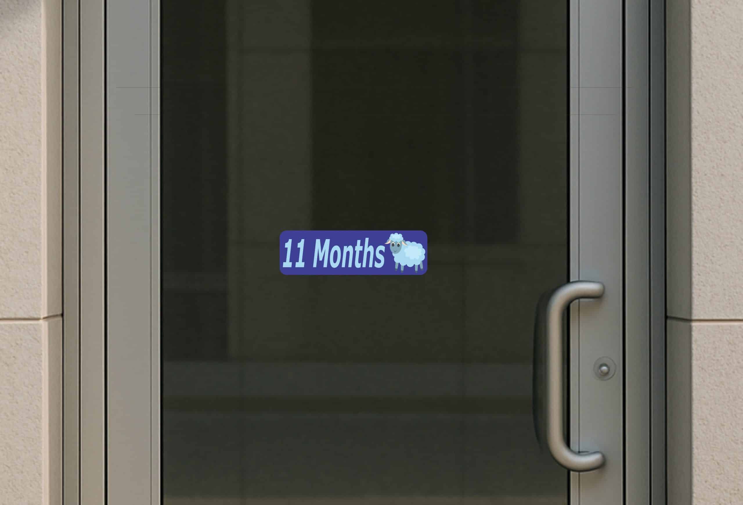 10in x 3in 11 Month Sticker Baby Boy First Year Vinyl Window Decal Stickers - Image 3