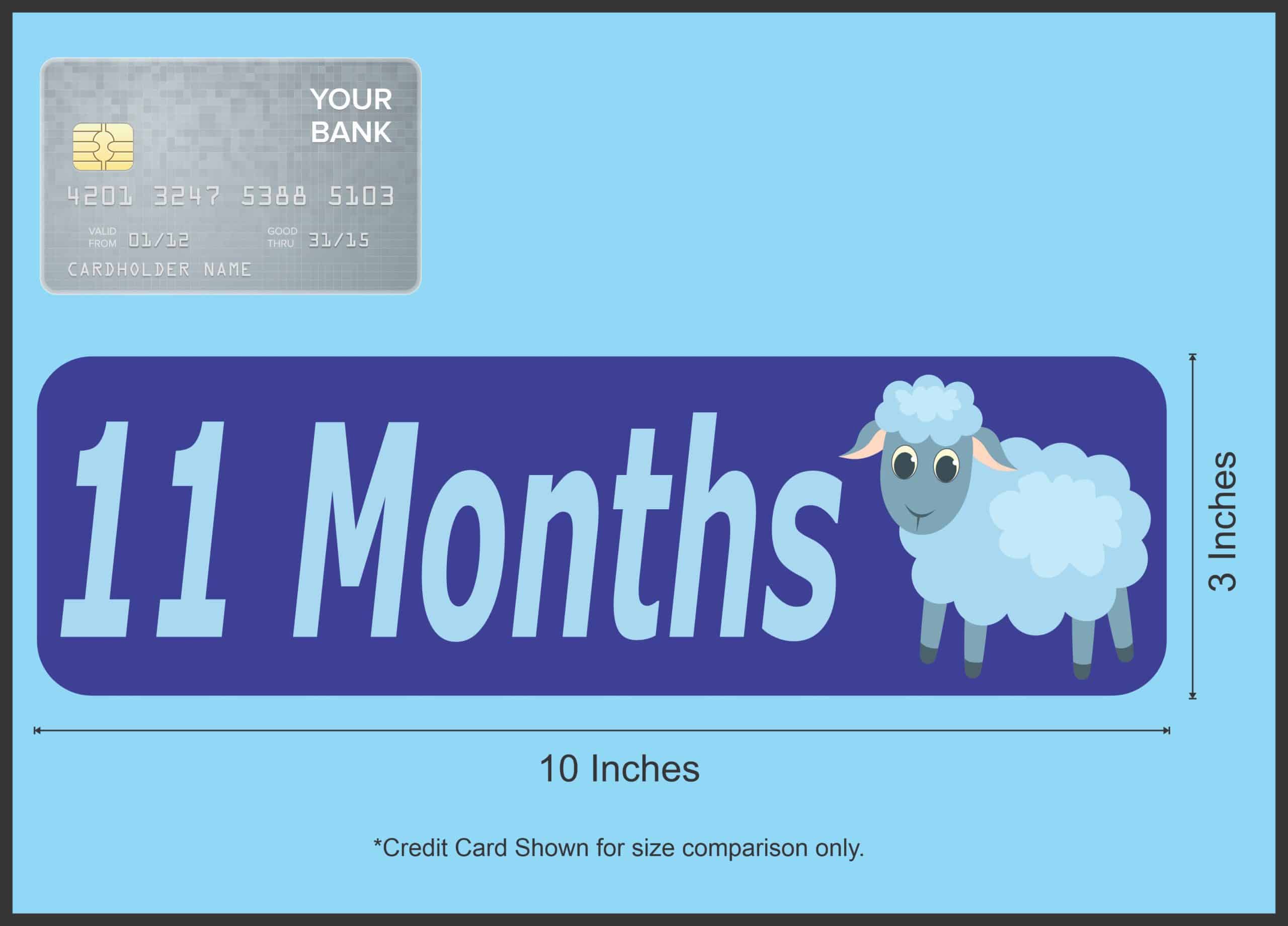 10in x 3in 11 Month Sticker Baby Boy First Year Vinyl Window Decal Stickers - Image 5