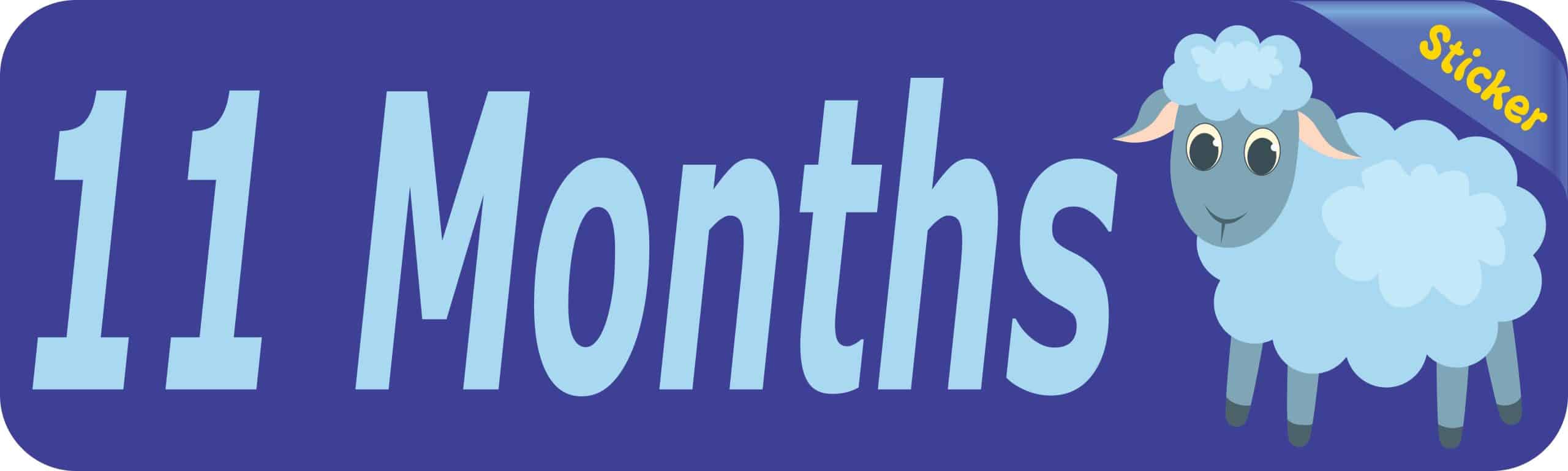 10in x 3in 11 Month Sticker Baby Boy First Year Vinyl Window Decal Stickers - Image 2