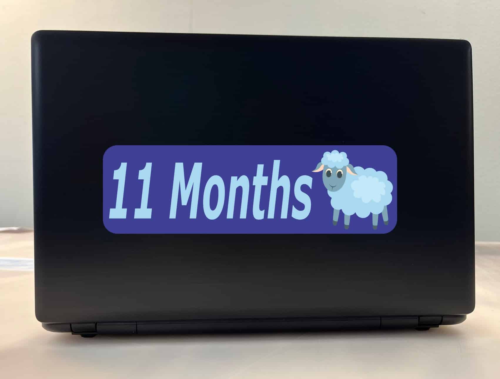 10in x 3in 11 Month Sticker Baby Boy First Year Vinyl Window Decal Stickers - Image 4