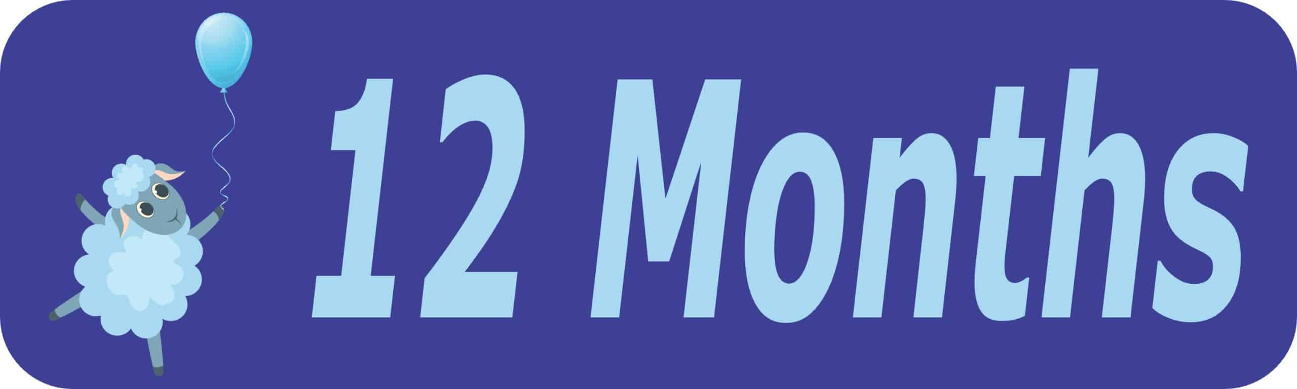 10in x 3in 12 Month Magnet Boy Door Magnetic Sign Magnets Signs