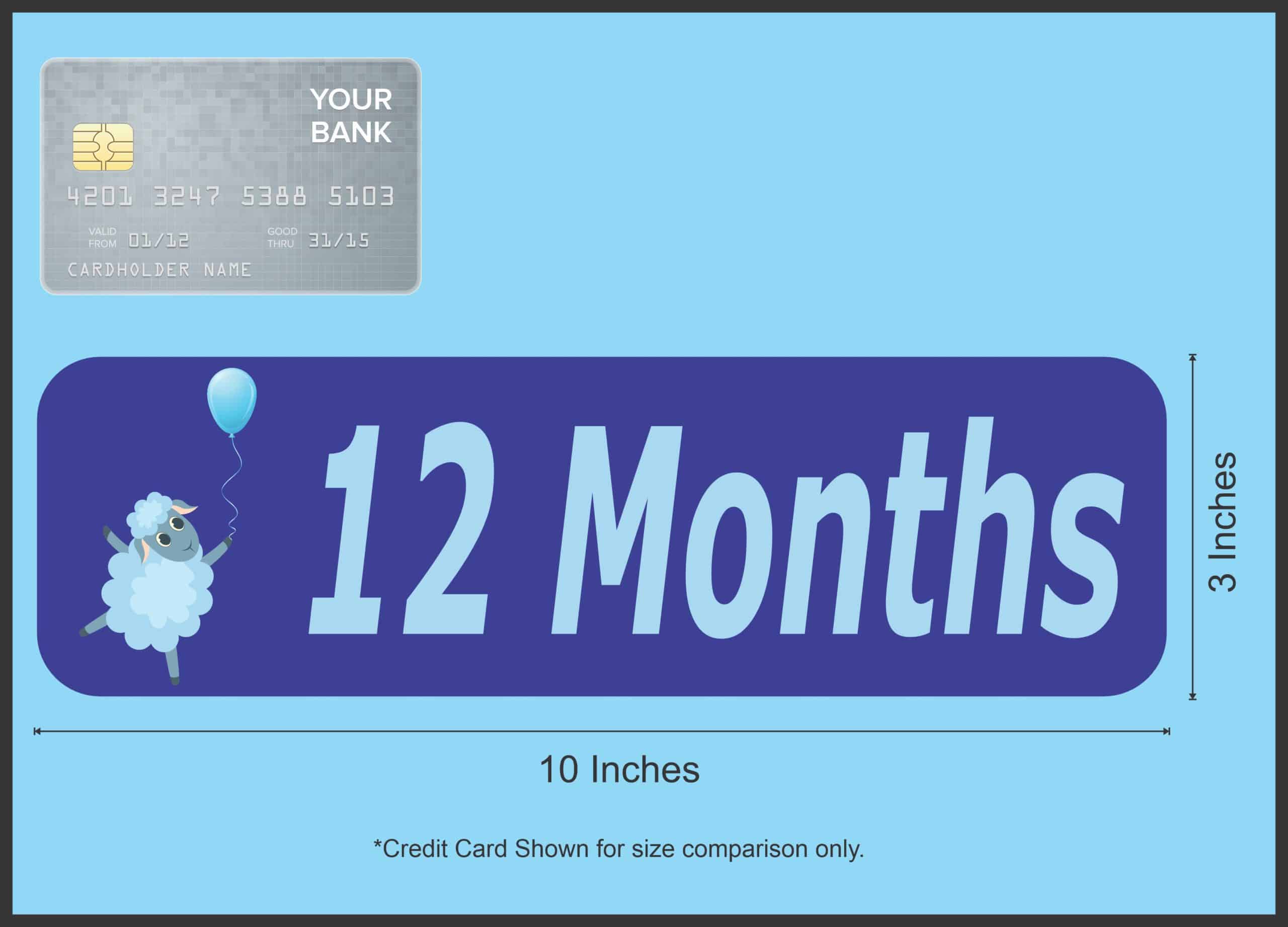 10in x 3in 12 Month Magnet Boy Door Magnetic Sign Magnets Signs - Image 3