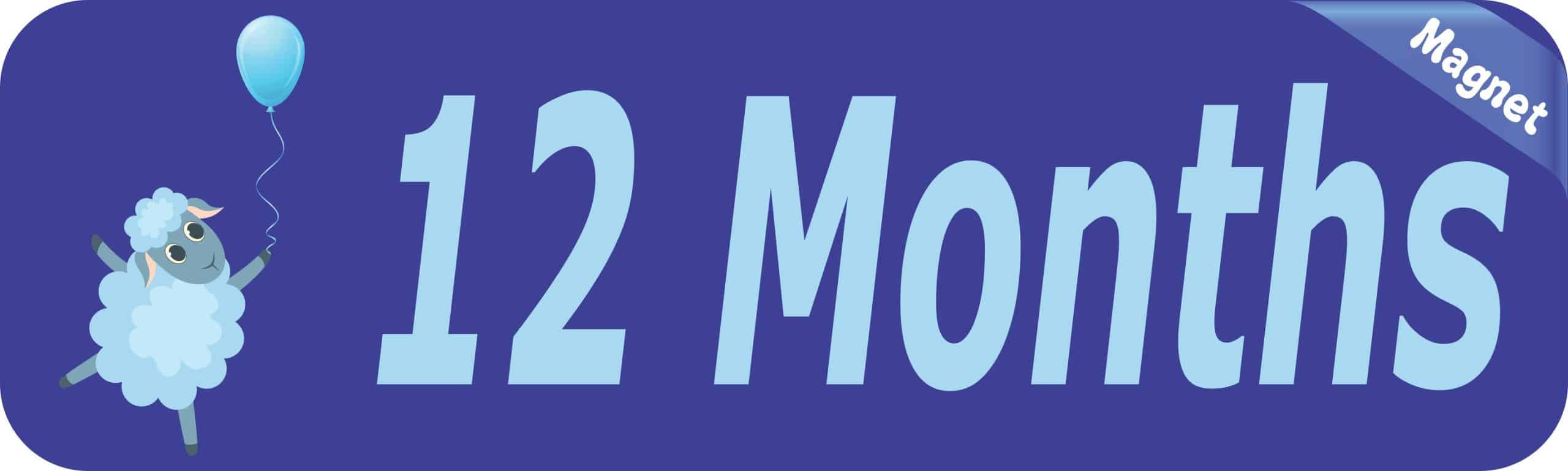 10in x 3in 12 Month Magnet Boy Door Magnetic Sign Magnets Signs - Image 2