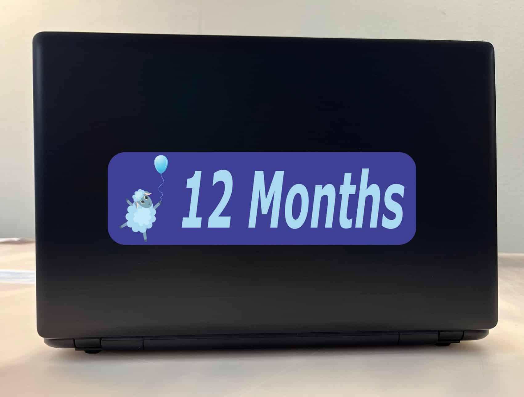 10in x 3in 12 Month Sticker Baby Boy First Year Vinyl Window Decal Stickers - Image 3