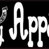 I Love My Appaloosa Bumper Sticker