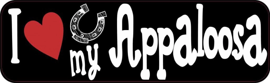 I Love My Appaloosa Bumper Sticker