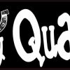 quarter horse