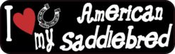 American Saddlebred