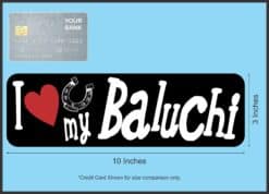 10in x 3in I Love My Baluchi Magnet Car Vinyl Magnetic Sign Truck Magnets