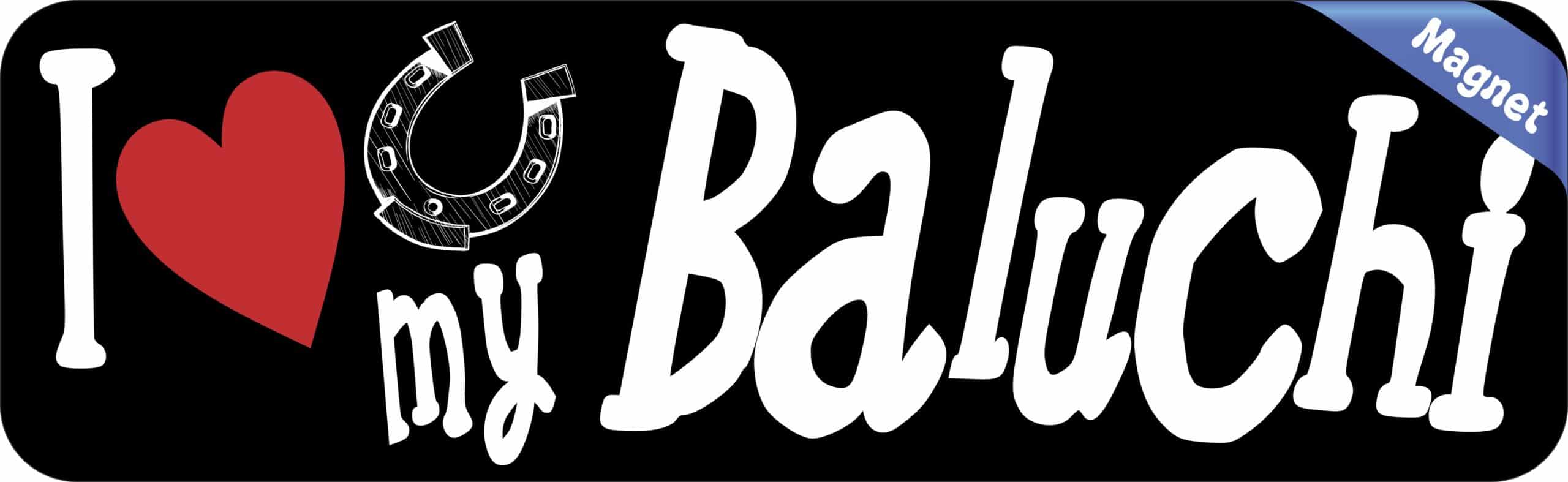 10in x 3in I Love My Baluchi Magnet Car Vinyl Magnetic Sign Truck Magnets