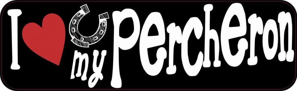 I Love My Percheron Sticker
