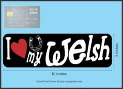 10in x 3in I Love My Welsh Pony Magnet Car Vinyl Magnetic Sign Truck Magnets