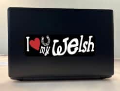 10in x 3in I Love My Welsh Pony Bumper Sticker Vinyl Truck Window Decal Sign