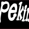 I Love My Pekingese Bumper Sticker