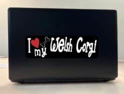 10in x 3in I Love My Pekingese Bumper Sticker Vinyl Truck Window Decal