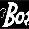 boxer