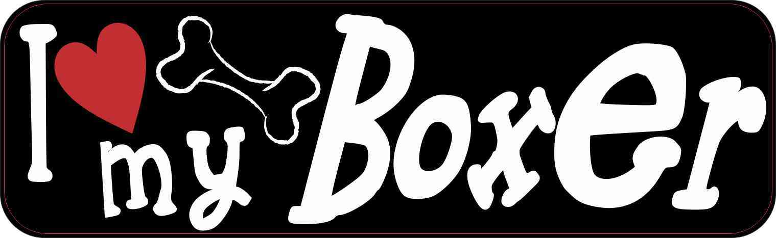 boxer