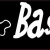 basenji