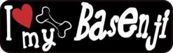 basenji