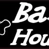 Basset Hound