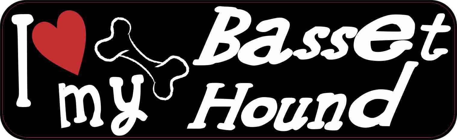 Basset Hound