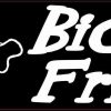 Bichon Frise