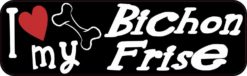Bichon Frise