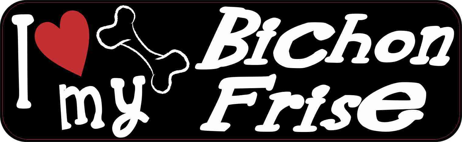 Bichon Frise