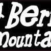 Bernese Mountain Dog