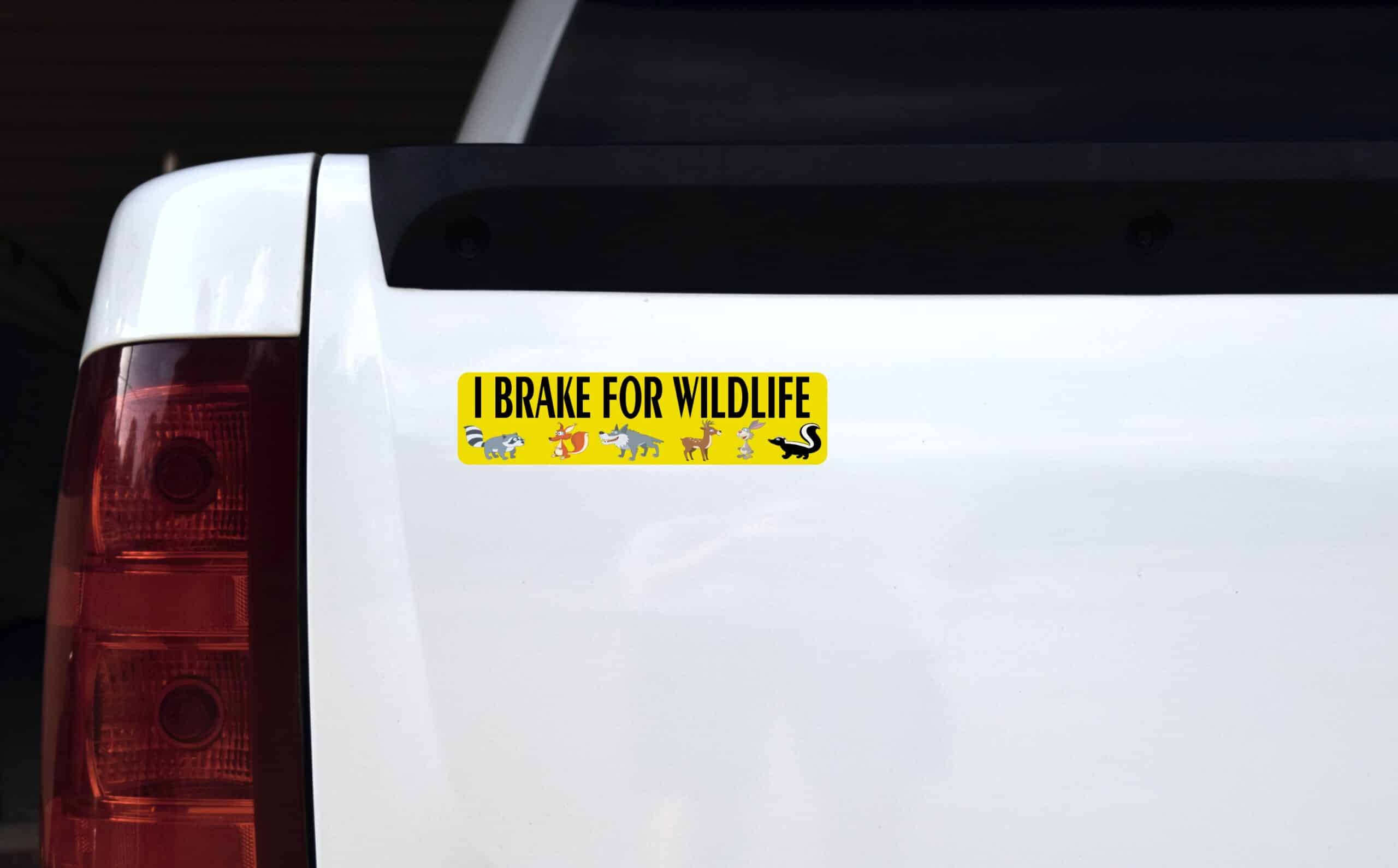 8 x 2 I Brake For Wildlife Magnet Car Door Magnetic Truck Magnets