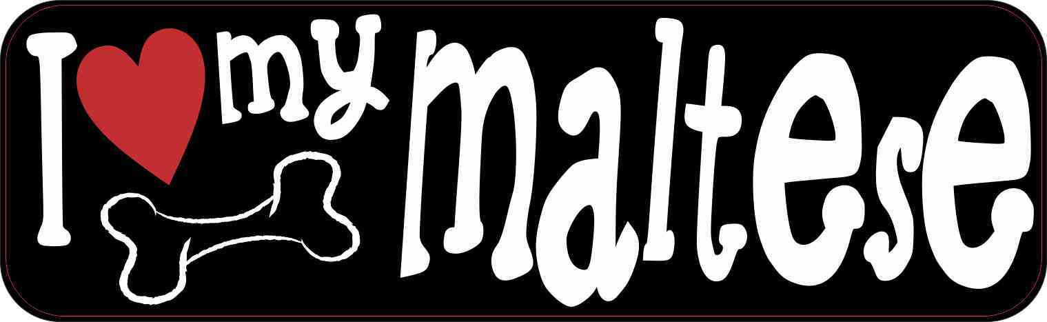 Maltese
