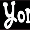 i love my yorkie