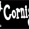 cornish rex cat