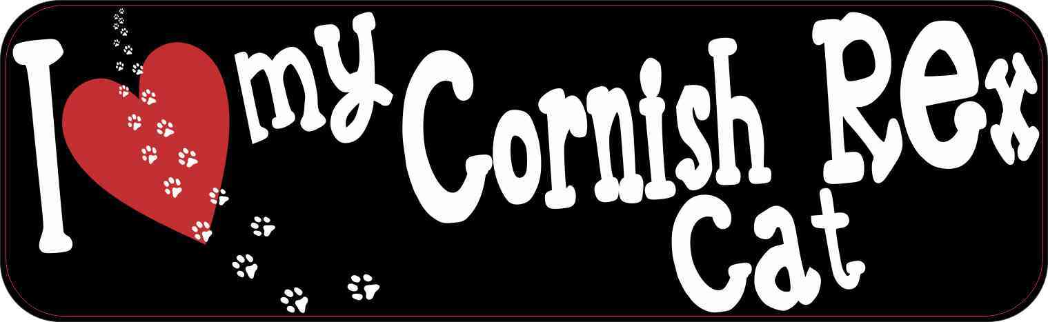 cornish rex cat