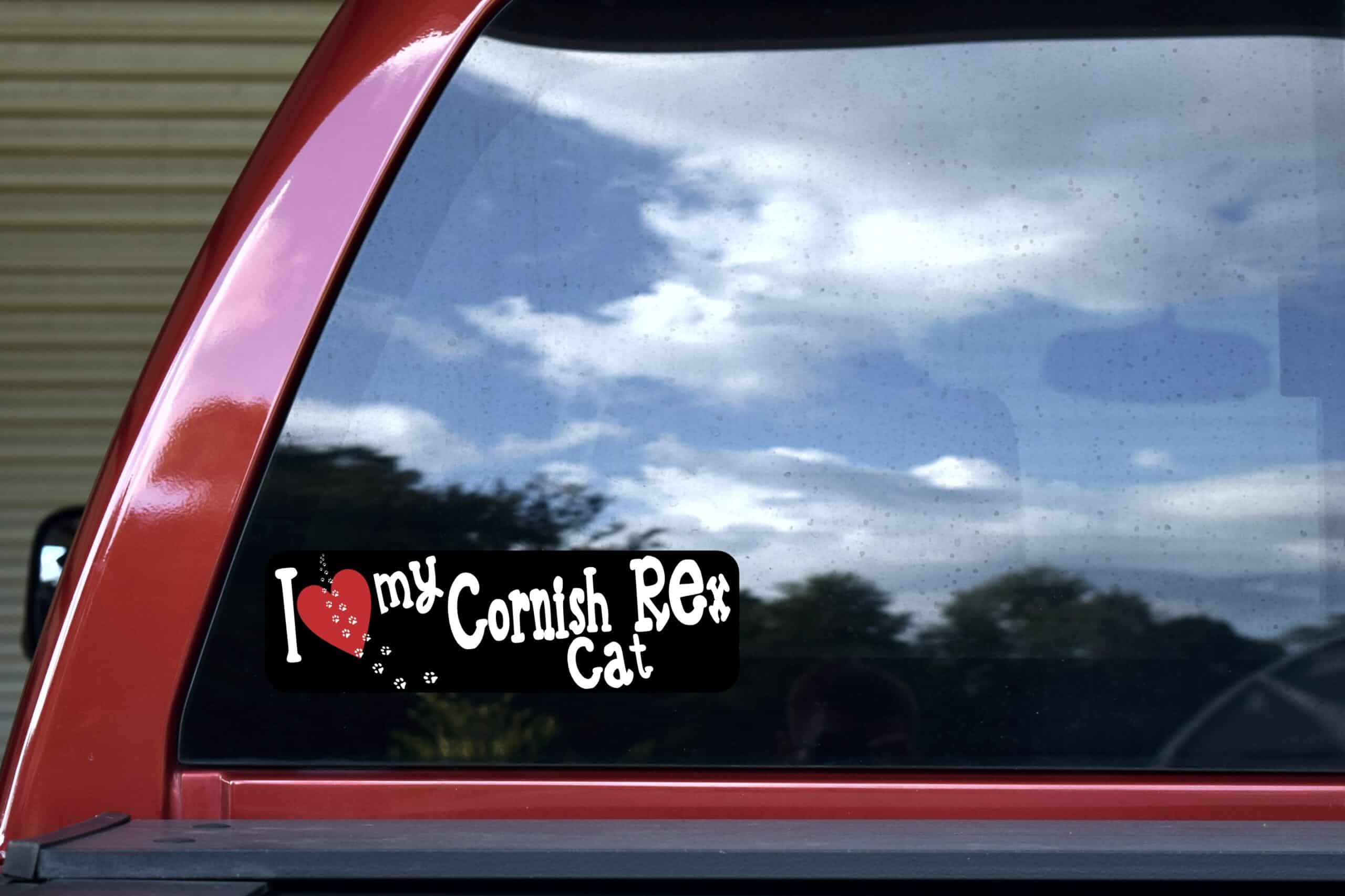 10in x 3in I Love My Cornish Rex Cat Bumper Sticker Vinyl Window Pet Decal