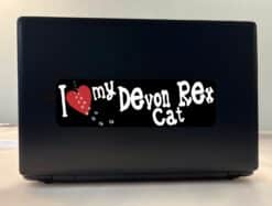 10in x 3in I Love My Devon Rex Cat Bumper Sticker Vinyl Window Pet Decal