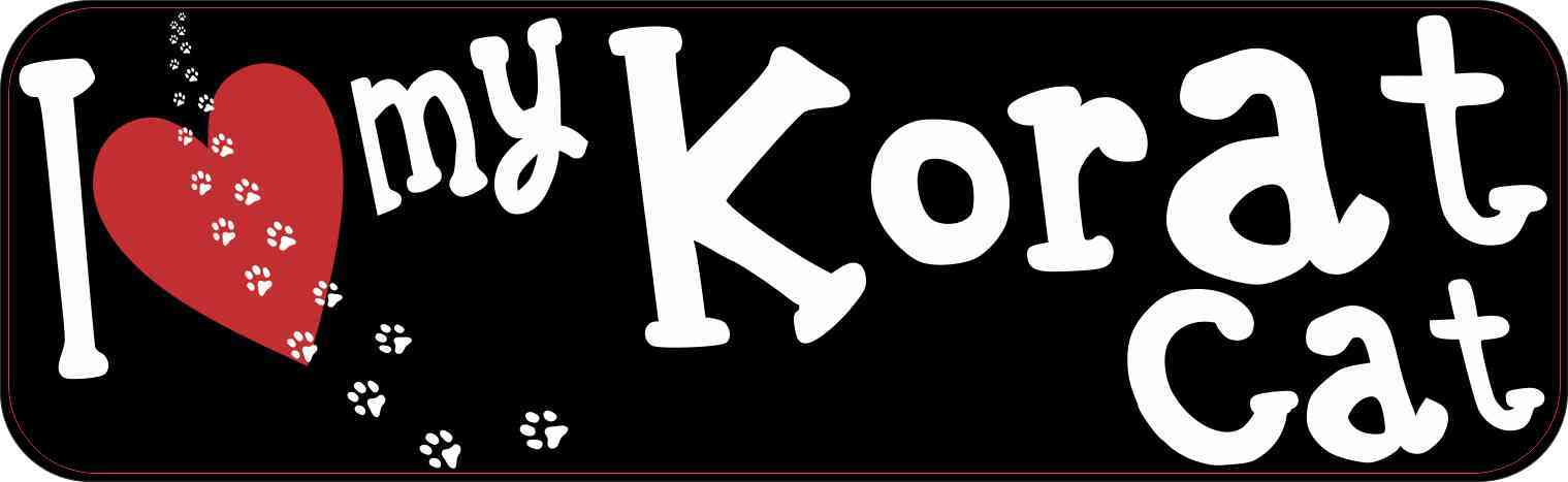 Korat Cat