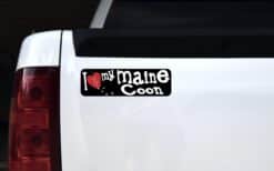 10in x 3in I Love My Maine Coon Bumper Sticker Vinyl Window Pet Cat Decal