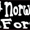 norwegian forest cat
