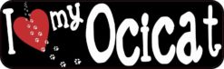 ocicat