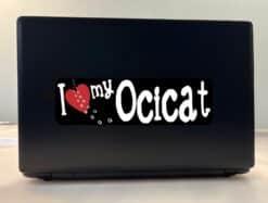 10in x 3in I Love My Ocicat Bumper Sticker Vinyl Truck Window Cat Decal