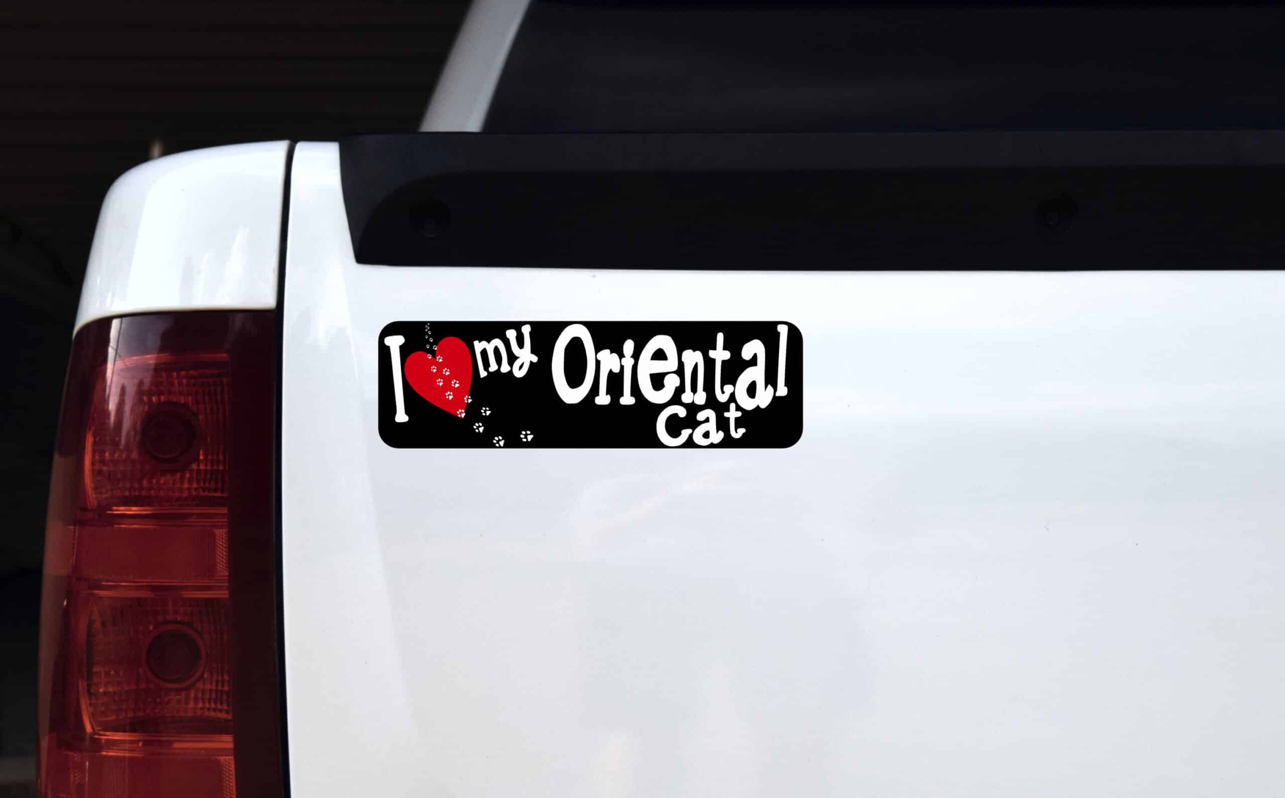 10in x 3in I Love My Oriental Cat Bumper Sticker Vinyl Truck Win
